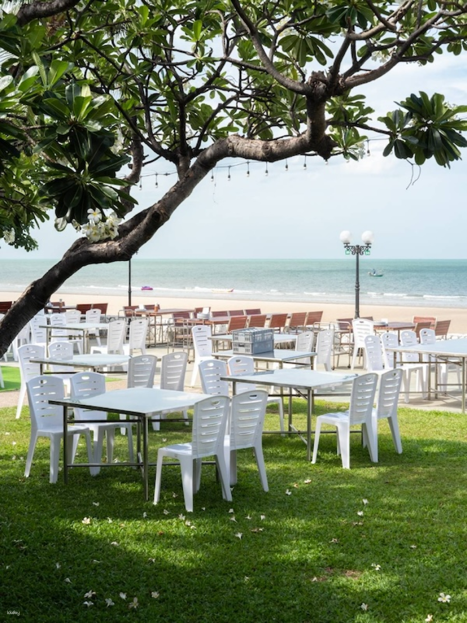 Sailom Restaurant (Hua Hin) | ประเทศไทย - Photo 1 of 10