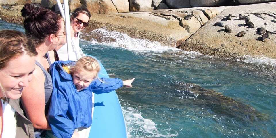 Seal Island Tour from Victor Harbor | Adelaide - Photo 1 of 4