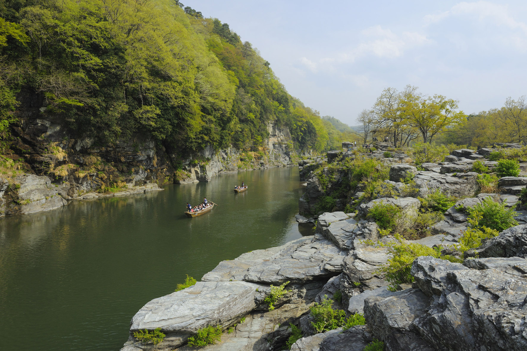 SEIBU 1Day Pass＋Nagatoro - Photo 1 of 10