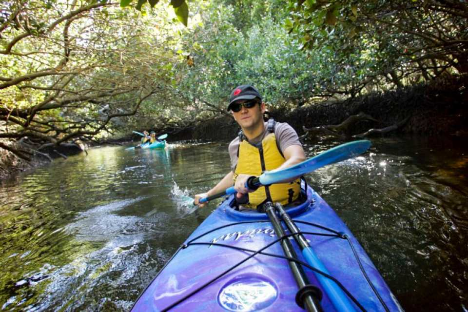 Self Guided Kayak Tour for 1 Person in Adelaide | South Australia - Photo 1 of 4