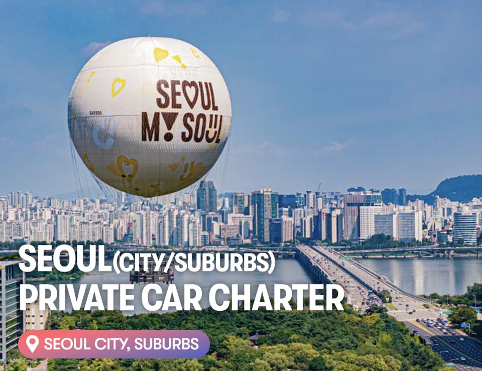 Seoul and Suburbs Private Car Charter - Photo 1 of 1