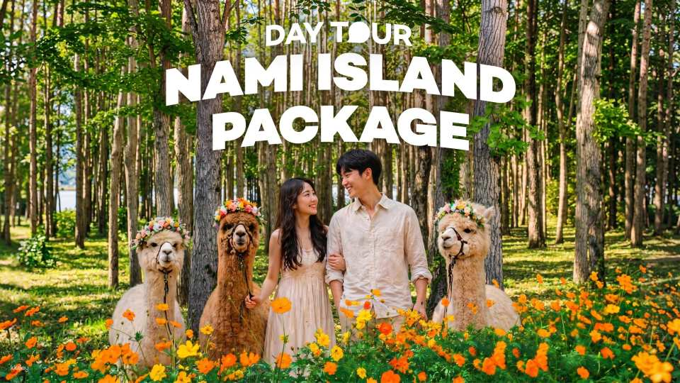 Seoul Day Tour: Nami Island, Alpaca World, Railbike, Petite France, Garden of Morning Calm & More | South Korea - Photo 1 of 10