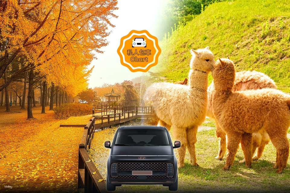 [Seoul/Gangwon-do/Gyeonggi-do] Private Chartered Car Service | South Korea - Photo 1 of 7