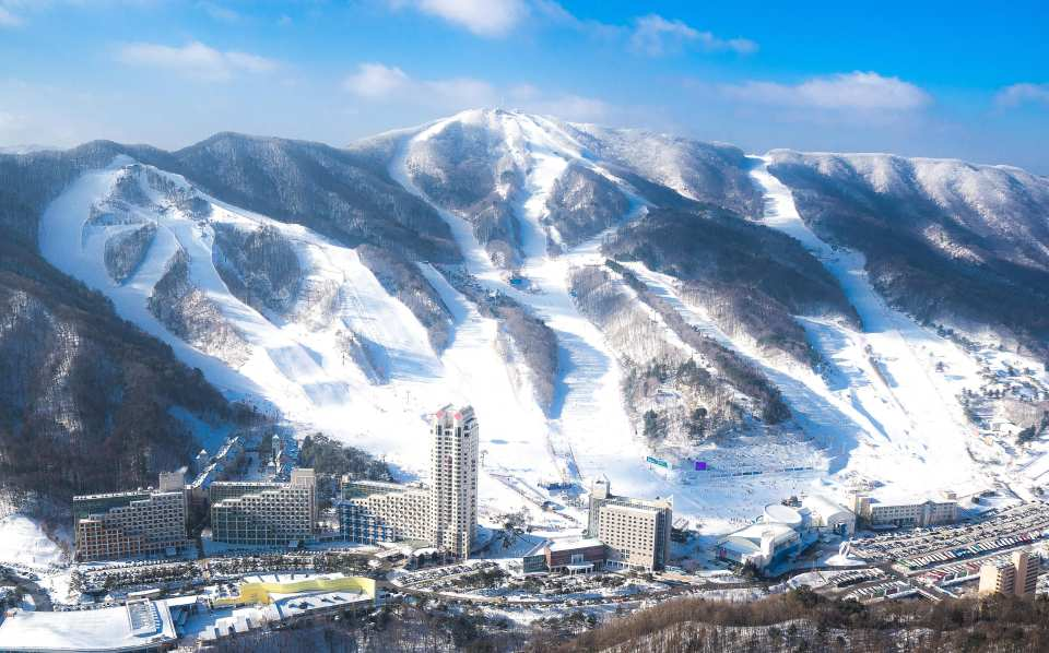 Seoul ↔Phoenix Park Ski Resort Shuttle Bus (Purple Bus) - Photo 1 of 5