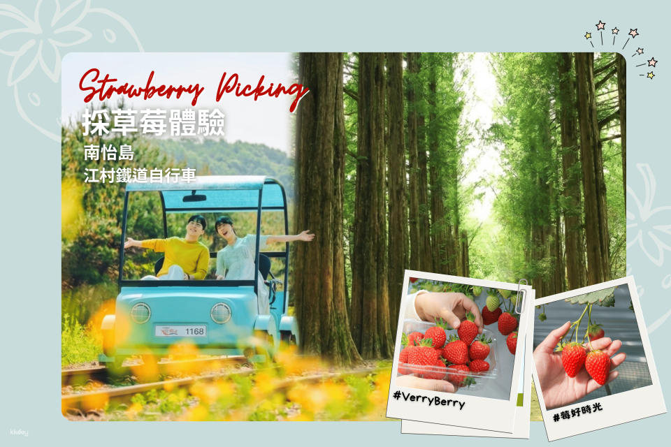 Seoul Suburbs Strawberry Picking Day Tour | Eobi Ice Valley / Gugok Falls Ice Wall / Skiing Experience / Nami Island / Rail Bike / Petite France / Garden of Morning Calm (Departing from Seoul) - Photo 1 of 7