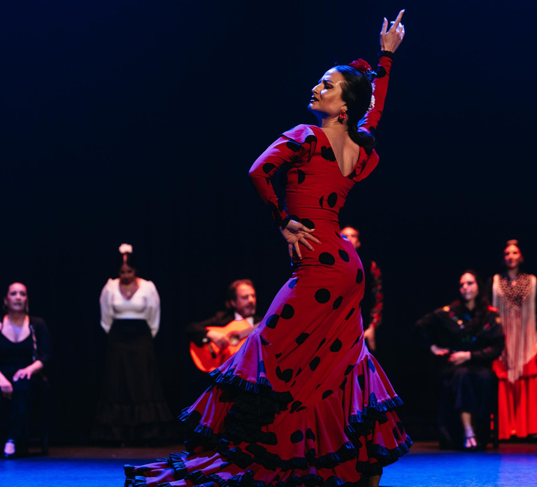 The Premium Experience at Teatro Flamenco Sevilla - Photo 1 of 10