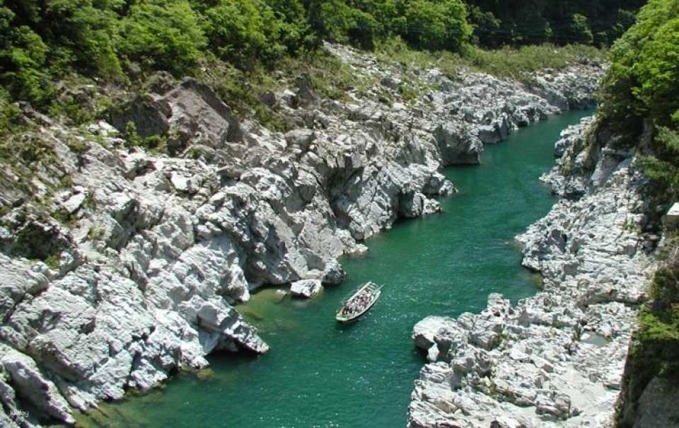 【10% OFF 】Shikoku Hidden Gems: Oboke Gorge Cruise & Iya Vine Bridge Bus Tour from Osaka - Photo 1 of 4