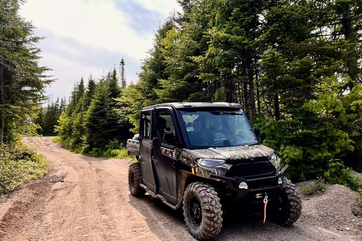 Highland Hardwoods Side-by-Side (UTV) 2 hour Evening Trail Tour - Photo 1 of 20