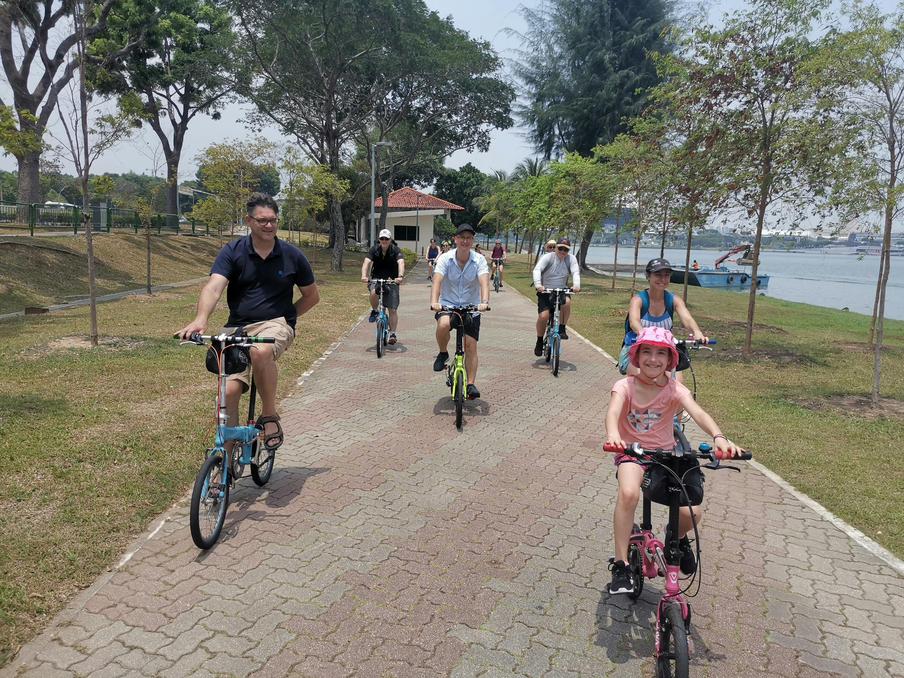 Singapore: Historical Lion City Bike Tour - Photo 1 of 7