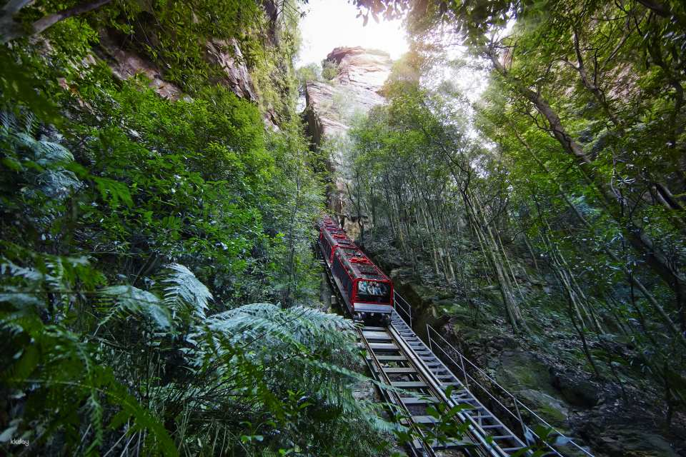 Small Group Blue Mountain Day Tour with Scenic World, Lunch and River Cruise｜Sydney - Photo 1 of 6
