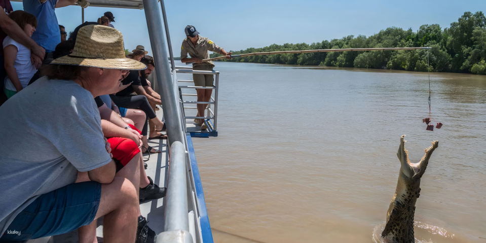 Small-Group Crocodile Cruise with Expert Guide from Darwin | Northern Territory - Photo 1 of 6