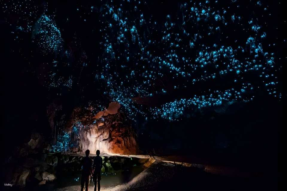 [Small Group Tour in Chinese] Gold Coast Blue Glowworm Night Tour & Springbrook National Park (Hotel Pick-up and Drop-off) - Photo 1 of 5
