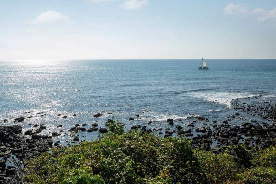 South Korea - Jeju Island -M1971 Yacht Club Dolphin Watching Yacht Ticket - Photo 1 of 5