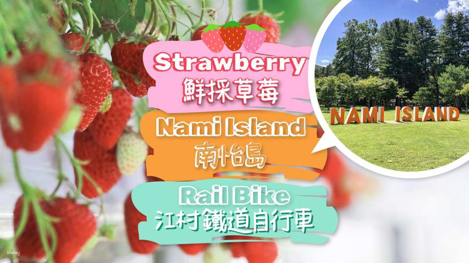 Spring Special: Strawberry Picking Experience, Nami Island & Rail Bike Day Tour (Seoul Departure) - Photo 1 of 10