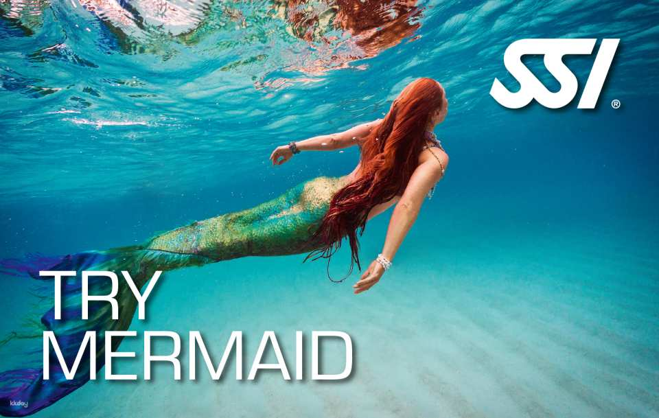 SSI Try Mermaid Experience 2 Hours | Kota Kinabalu, Sabah - Photo 1 of 10