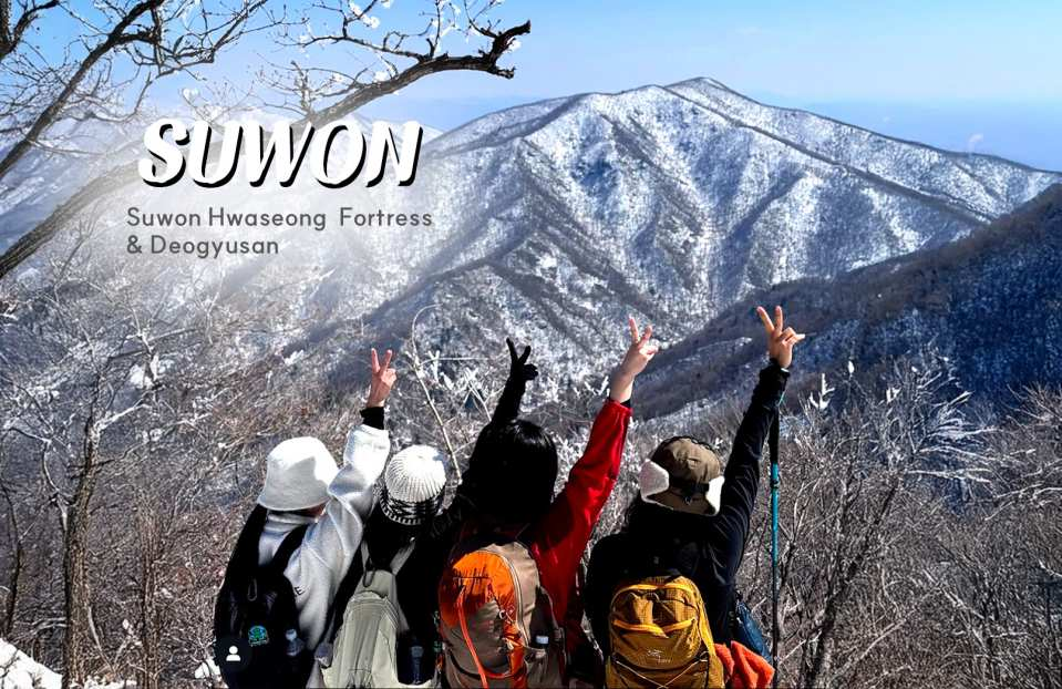 Seoul Day Tour: Suwon Hwaseong Fortress & Royal Cherry Blossoms - Photo 1 of 9