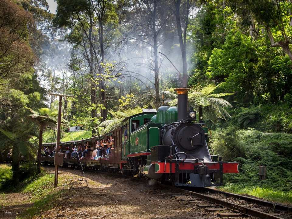 Sydney Blue Mountains & Featherdale Zoo Tour (Scenic World Optional/Korean Guide) - Photo 1 of 6