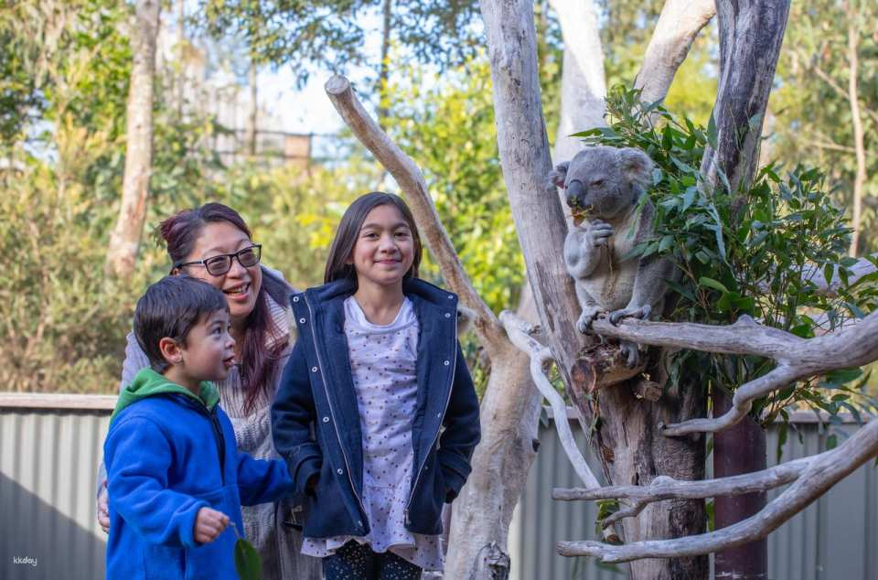 Sydney Zoo Entry Ticket | New Sales Wales - Photo 1 of 10