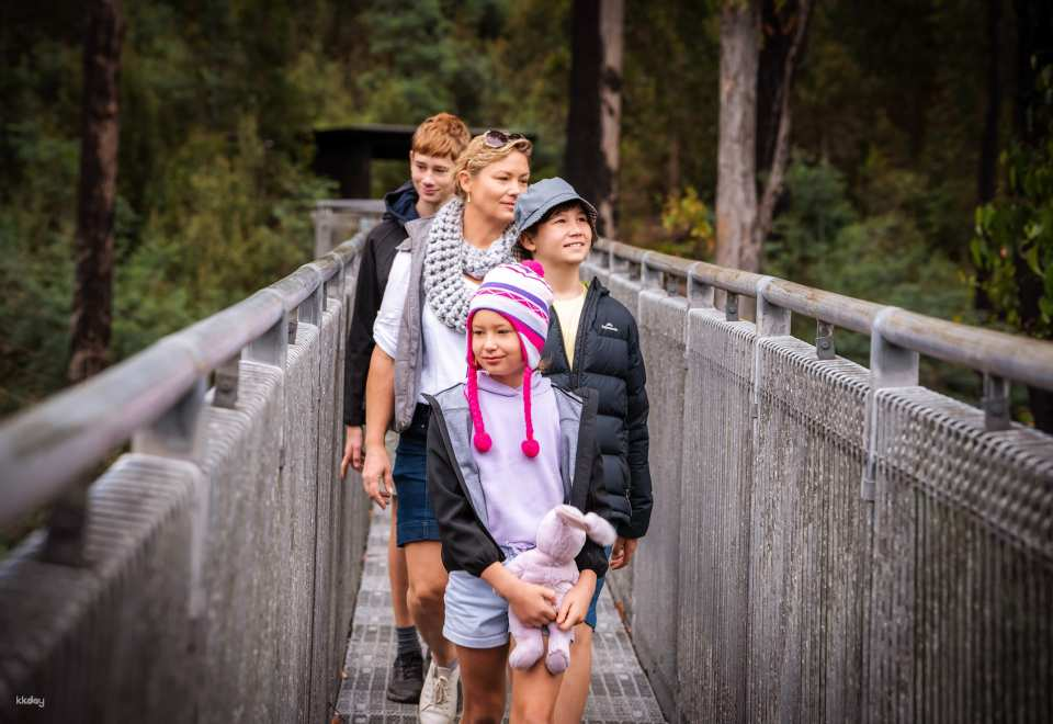 Tahune AirWalk General Entry | Tasmania - Photo 1 of 5