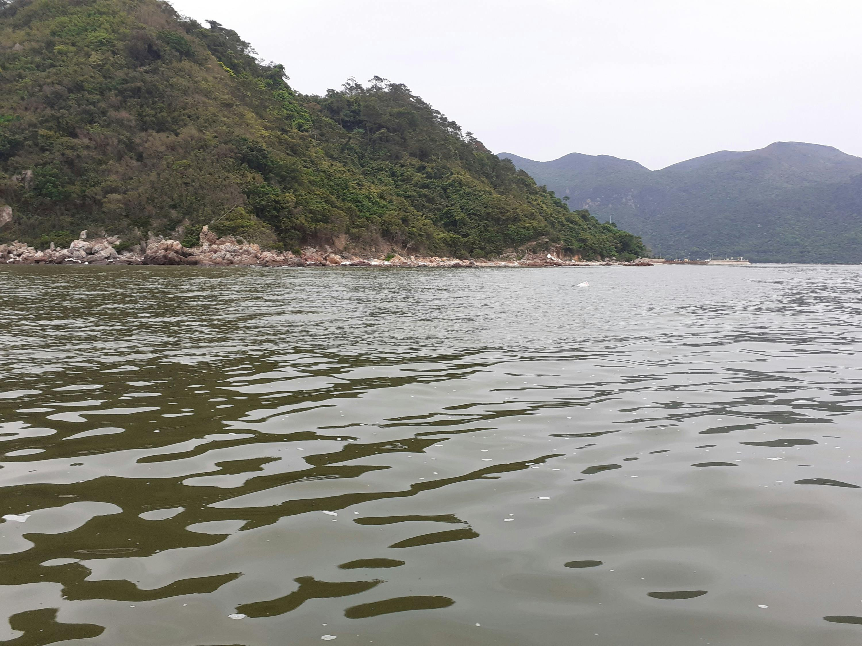 Tai O: 20-Minute Sightseeing Boat Trip - Photo 1 of 18