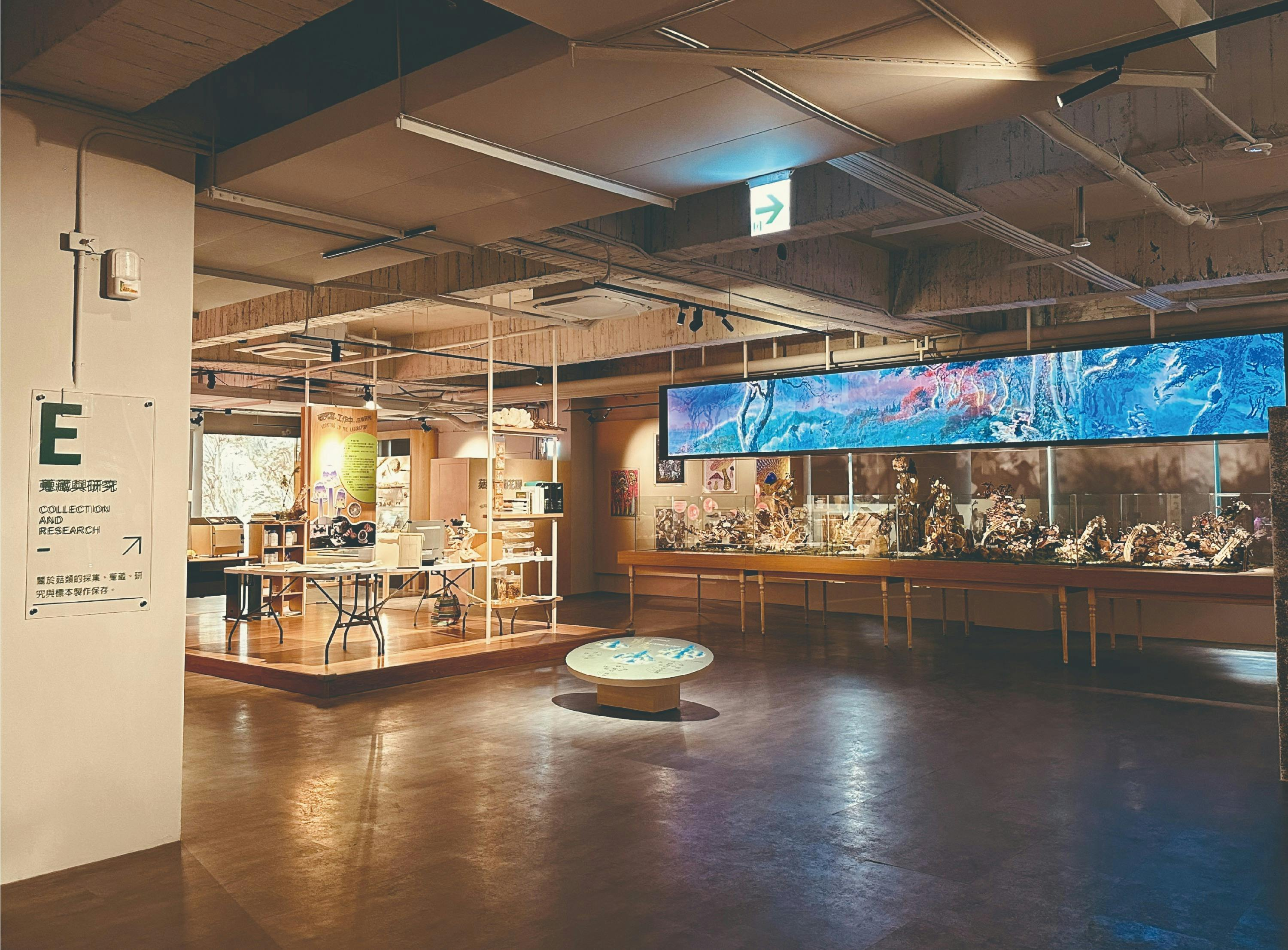 Taichung: Wufeng Mushroom Industry and Academia Center Ticket - Photo 1 of 12