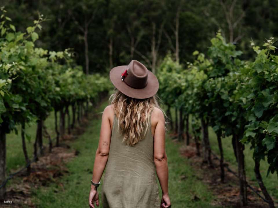 Tamborine Mountain Hop-On Hop-Off Beverage Tasting Tour | Gold Coast Departure - Photo 1 of 10