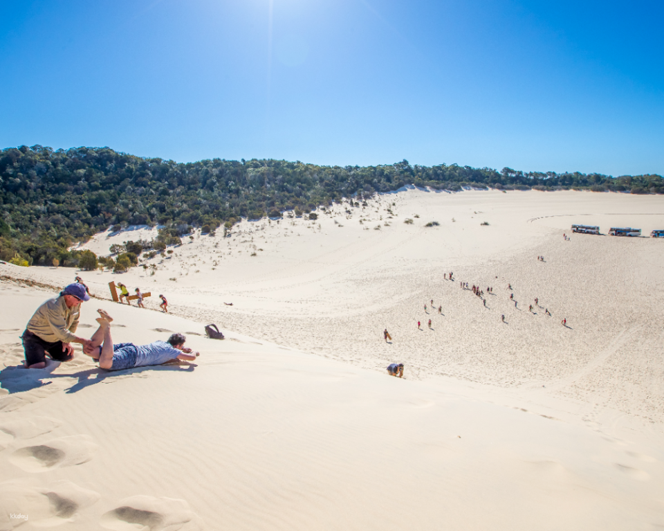 Tangalooma Desert Safari Day Cruise | Brisbane - Photo 1 of 9
