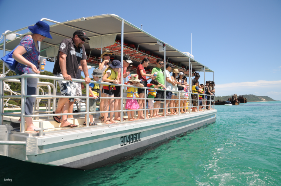 Tangalooma Marine Discovery Day Cruise with Bus Transfers from Brisbane - Photo 1 of 10