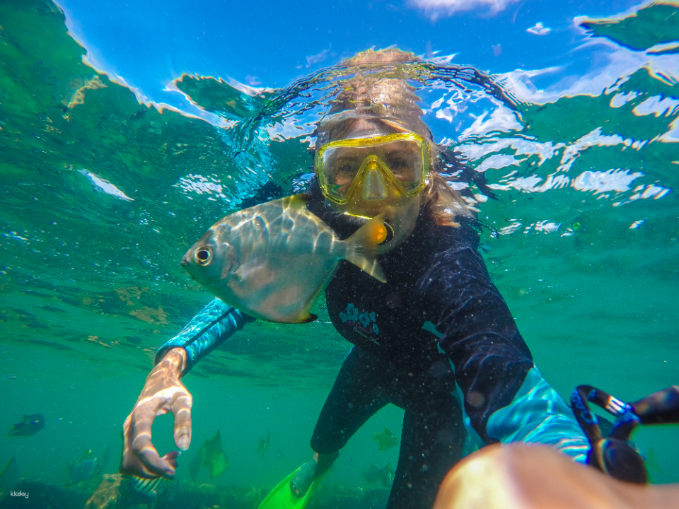 Tangalooma Snorkel the Wrecks Day Cruise with Bus Transfers from Brisbane - Photo 1 of 10