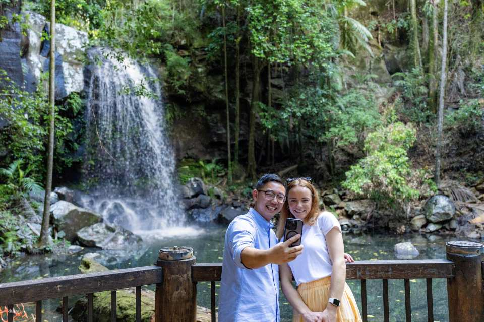 Gold Coast: Tamborine Mountain Rainforest, Waterfall & Lunch Tour | Queensland - Photo 1 of 10