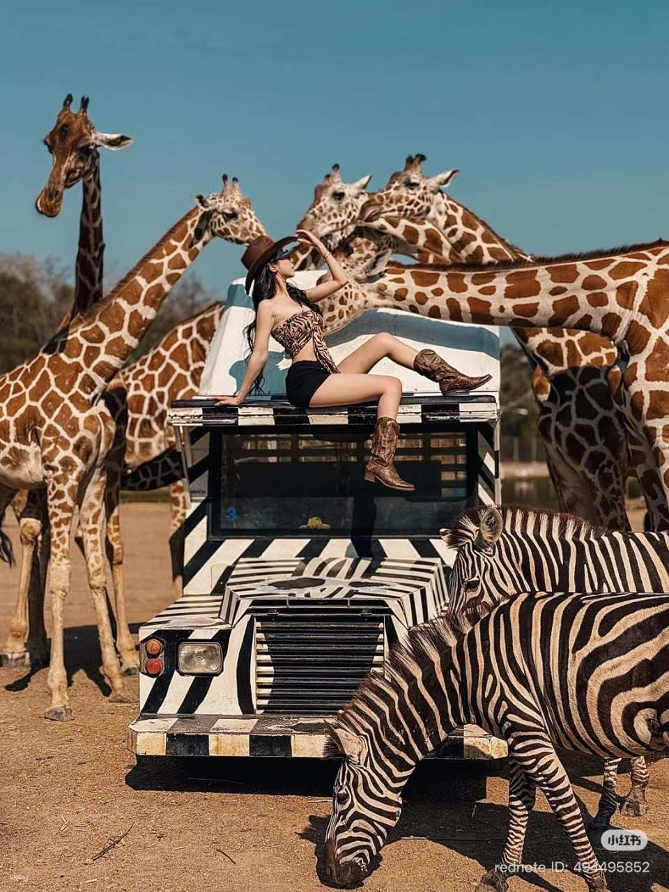 Safari Park Kanchanaburi Ticket & Giraffe Jeep - Photo 1 of 6