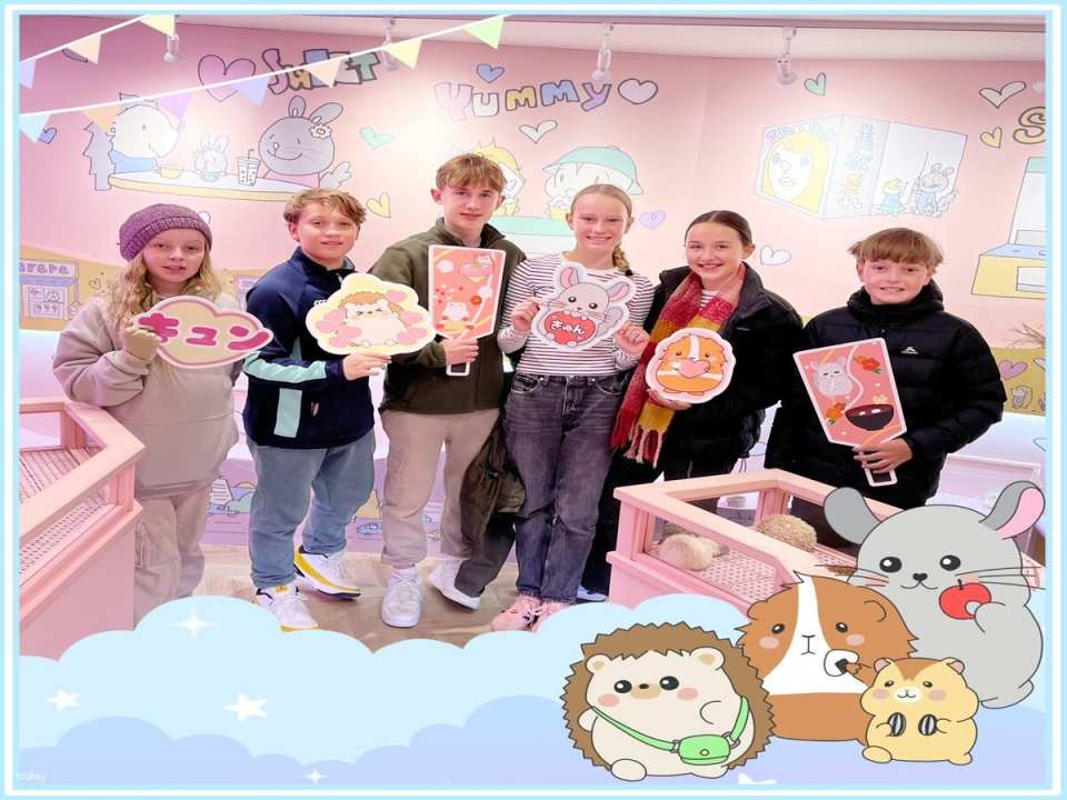 Tickets to Kyun-Kyun Zoo in Harajuku, Japan | Get up close and personal with hedgehogs, hamsters, guinea pigs, and chinchillas - Photo 1 of 6