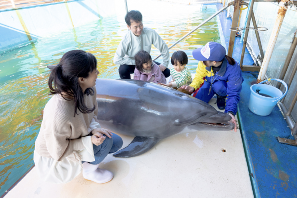 Toba, Mie | Cruise around Toba Bay and Dolphin Island | Popular Ise-Shima ticket reservations - Photo 1 of 4