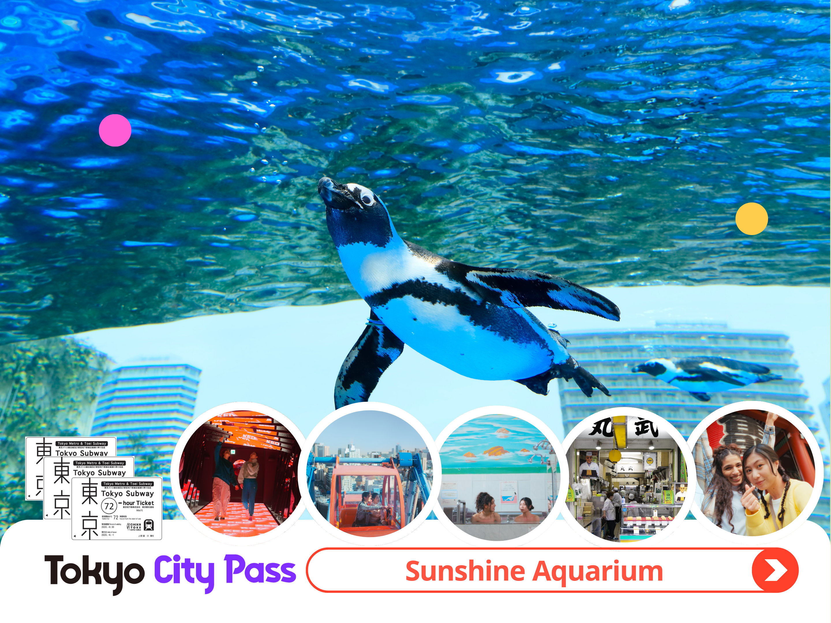 Tokyo City Pass (Sunshine Aquarium Admission Ticket) - Photo 1 of 7