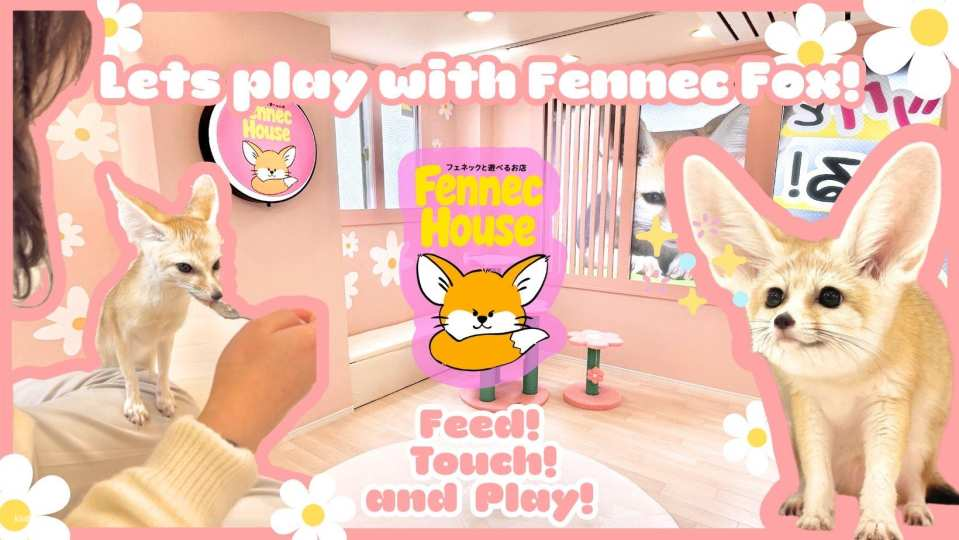[Tokyo | Fennec House] Interactive Experience with Adorable Fennec Foxes - Photo 1 of 3