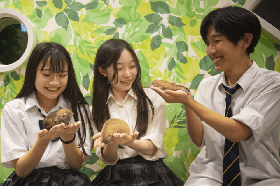 Tokyo, Japan | Anitouch AQUACITY Odaiba Indoor Animal Interaction Experience Tickets - Photo 1 of 9