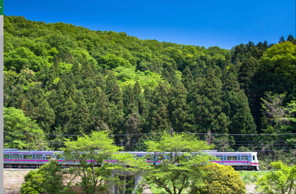 Tokyo Keio Line 1-day Ticket - Photo 1 of 3