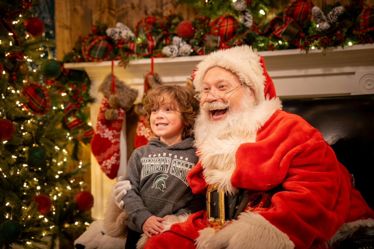 Toledo Zoo: Lights Before Christmas Entry Ticket - Photo 1 of 8