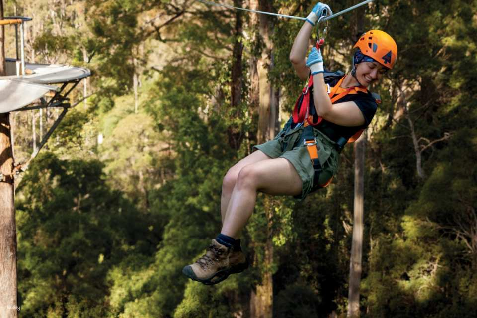 Treetops Zipline Tour with Photos & Gear | Tasmania - Photo 1 of 5
