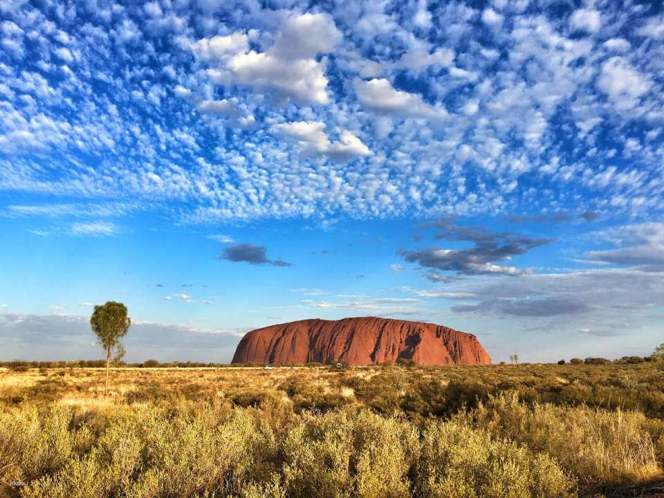 Uluru Sunrise and Rock Circle Day Tour | Mandarin Tour - Photo 1 of 6