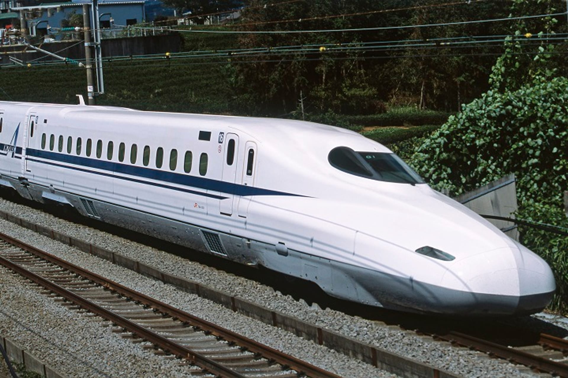 Unguided Plan with Ghibli Park O-Sanpo Day Pass Premium & Non 