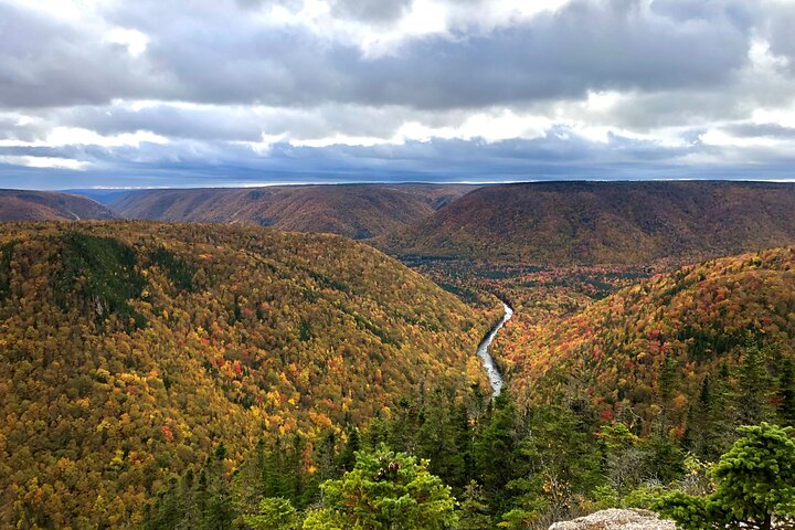 Fall Colors