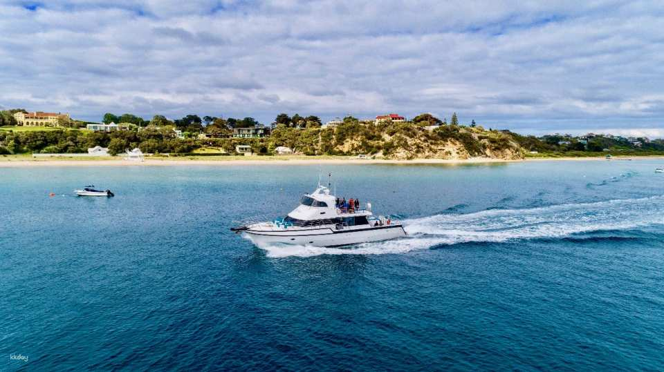 Victoria 1.5-Hour Wildlife Adventure Cruise from Port Phillip Bay | Australia - Photo 1 of 5