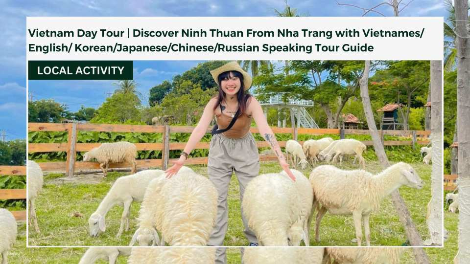 Vietnam Day Tour: Discover Ninh Thuan From Nha Trang with Vietnamese/English/ Korean/Japanese/Chinese/Russian Speaking Tour Guide - Photo 1 of 8
