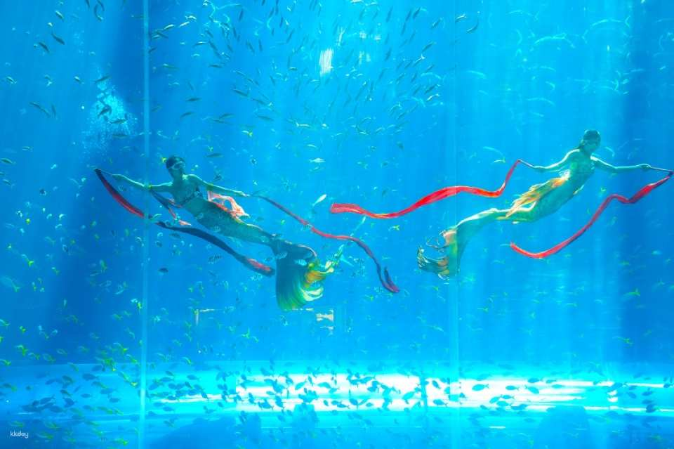 VinWonders Phu Quoc & Grand World Night Discovery – 1-Day Tour - Photo 1 of 10