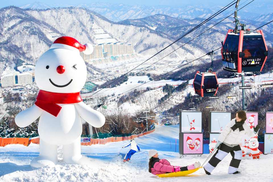 Vivaldi Park Ski Resort Day Trip from Seoul - Photo 1 of 1