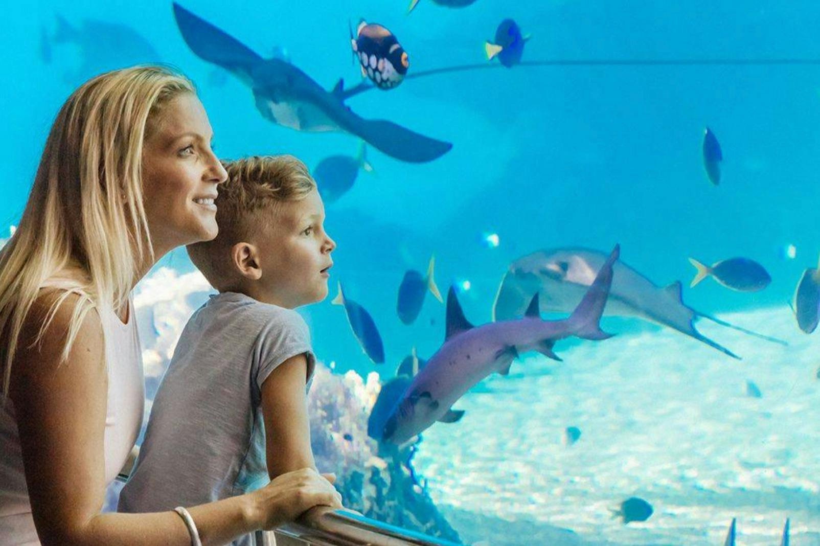 Warner Bros. Movie World, Sea World & Wet'n'Wild: Single Park 1-Day Ticket - Photo 1 of 5