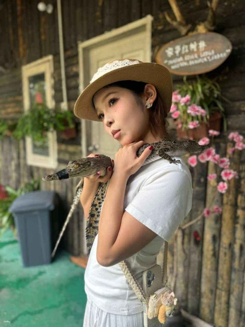 Weston Proboscis Monkey & Fireflies River Cruise Tour - Photo 1 of 8