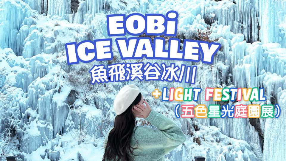 【Winter Limited】Eobi Valley, Light Festival, Nami Island, Alpaca World & Railbike Day Tour | Departing from Seoul - Photo 1 of 9