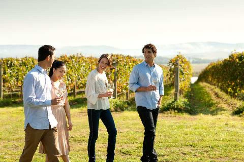 Yarra Valley Luxe Bus Tour: Wine Tastings, Lunch & Healesville |Sydney - Photo 1 of 9